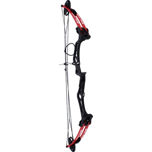 ARCO COMPUESTO MENDOZA PROFESIONAL